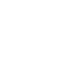 Chicago Public Library