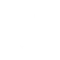 Grey Goose